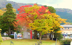 2016_11_9 箱根芦ノ湖