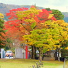 2016_11_9 箱根芦ノ湖