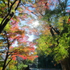energy flow_2