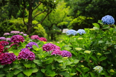雨の合間の_4