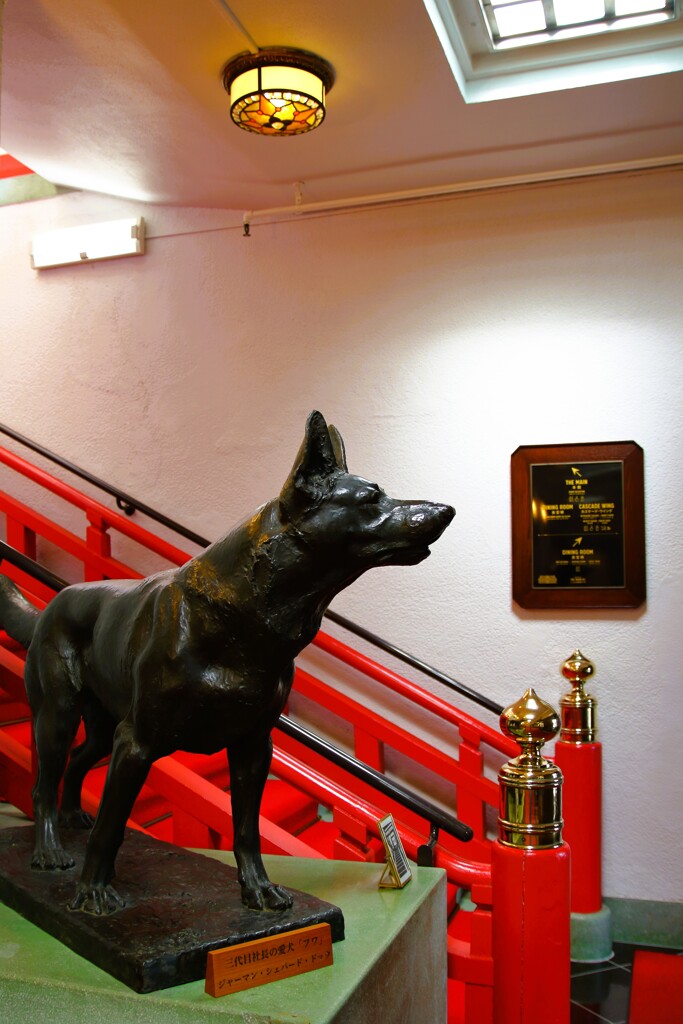 Wedding Anniversary 2026 in 宮ノ下富士屋ホテル_12