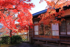 2025_強羅_箱根美術館5