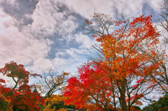 芦ノ湖20151111