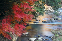 箱根_早川