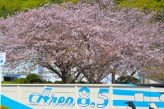50mm_F1.8 TEST３