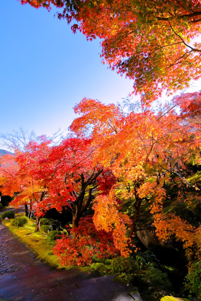 2025_箱根美術館1