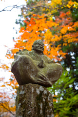 2025/11/12_仙石原の紅葉２