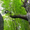 TEST_EF24mm-105  4L_5