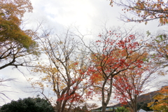 2024箱根_芦ノ湖