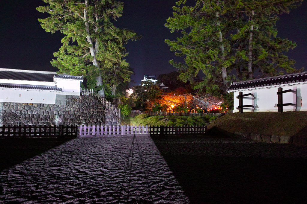 小田原城を望む