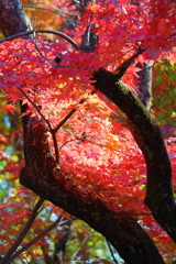 2024 hakoneitabashi1201_8