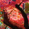2024 hakoneitabashi1201_8
