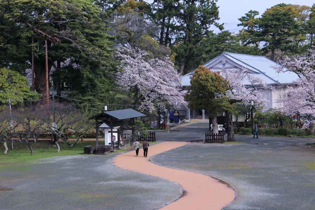 実は高校跡
