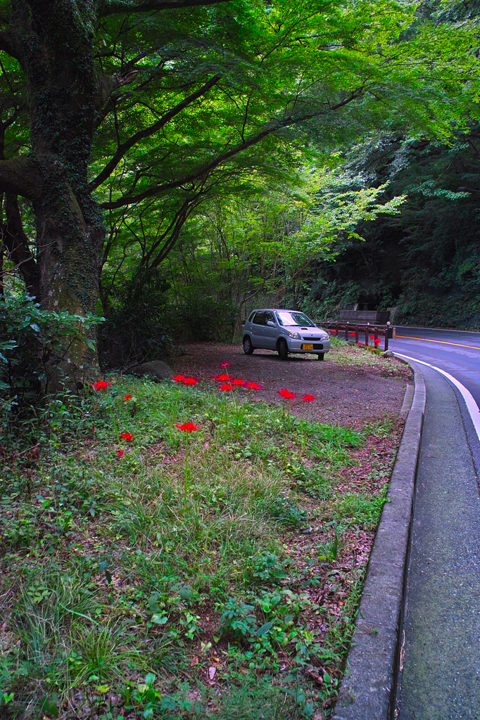 箱根出山付近