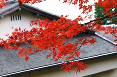 箱根強羅美術館20111109_4