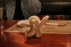 The penguin of the towel which a daughte