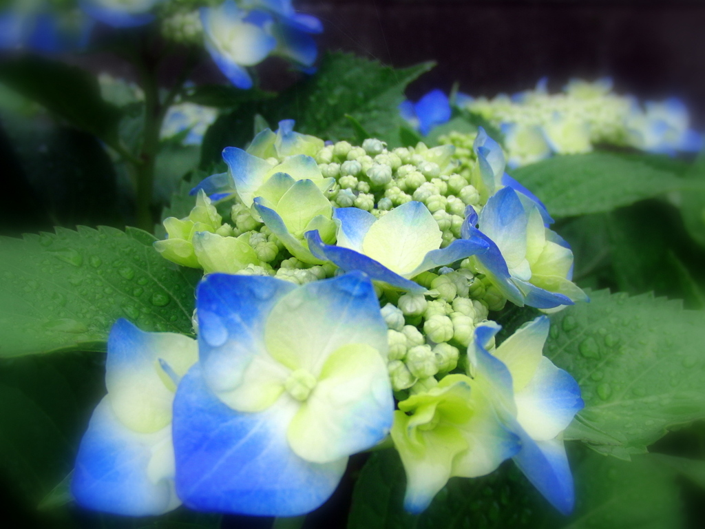 test_EX-FC100_3