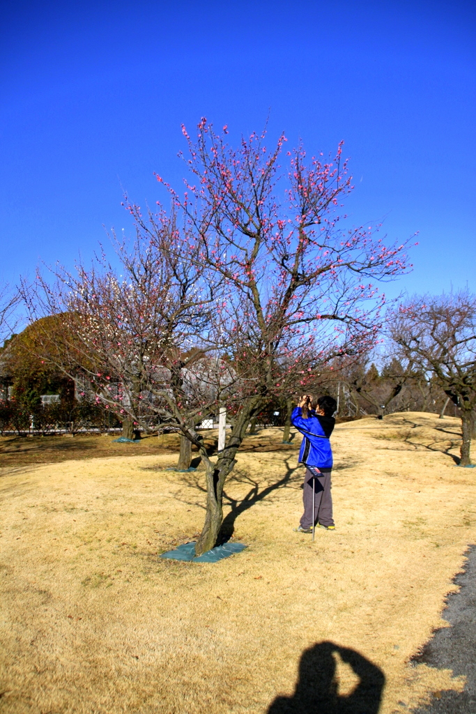 The test photography for EOS50D subject 