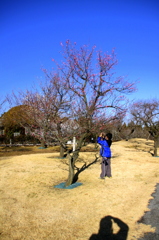 The test photography for EOS50D subject