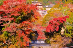 2025_湯河原万葉公園周辺5