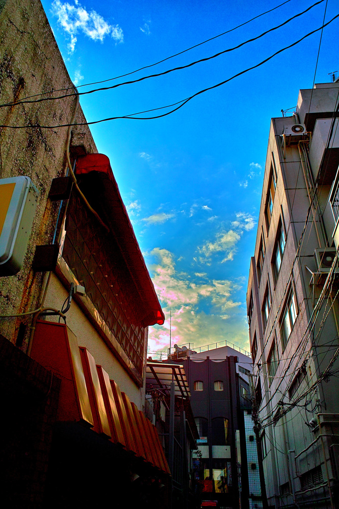 SDIM0533