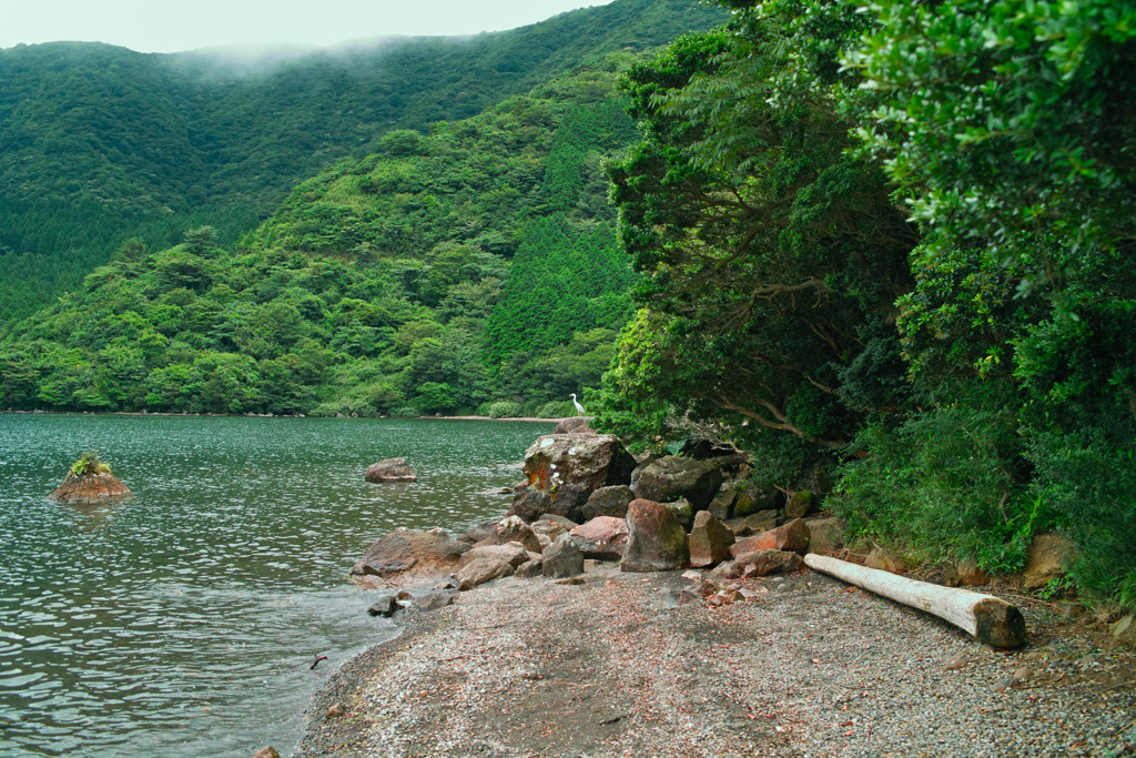 箱根キャンプ村