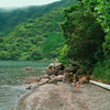 箱根キャンプ村