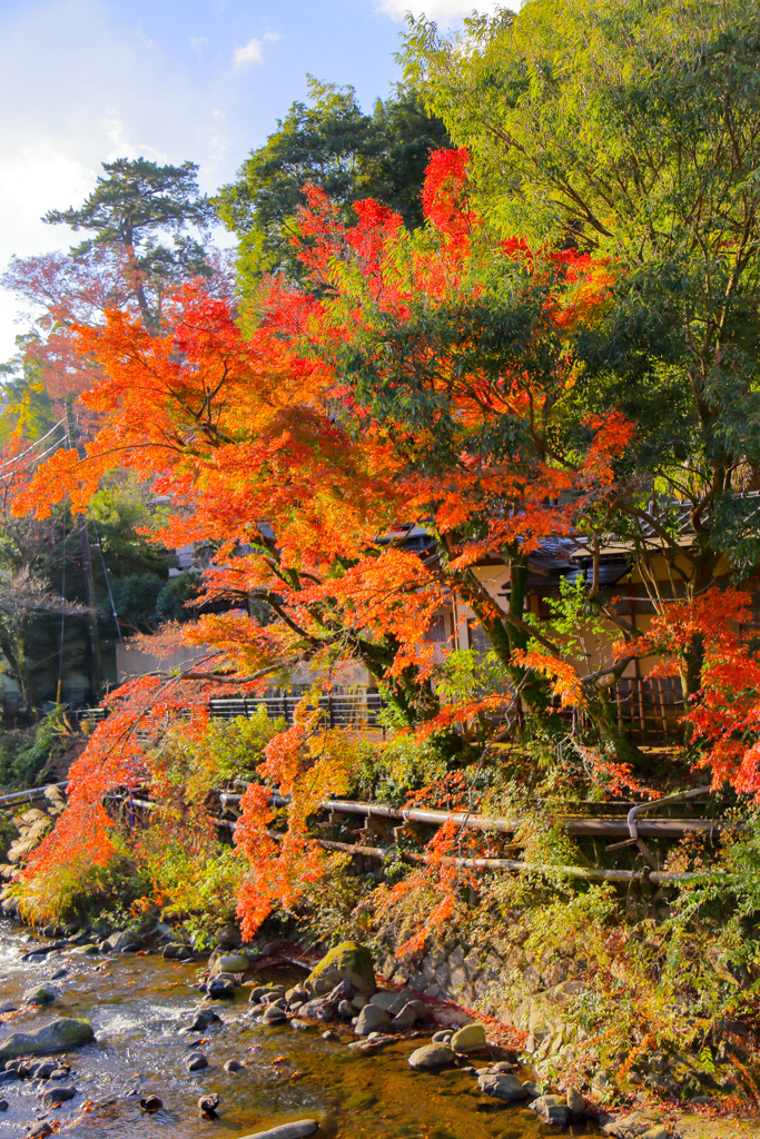 2025_湯河原万葉公園周辺2