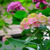 TEST_EF24mm-105  4L_10