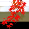 松永記念館