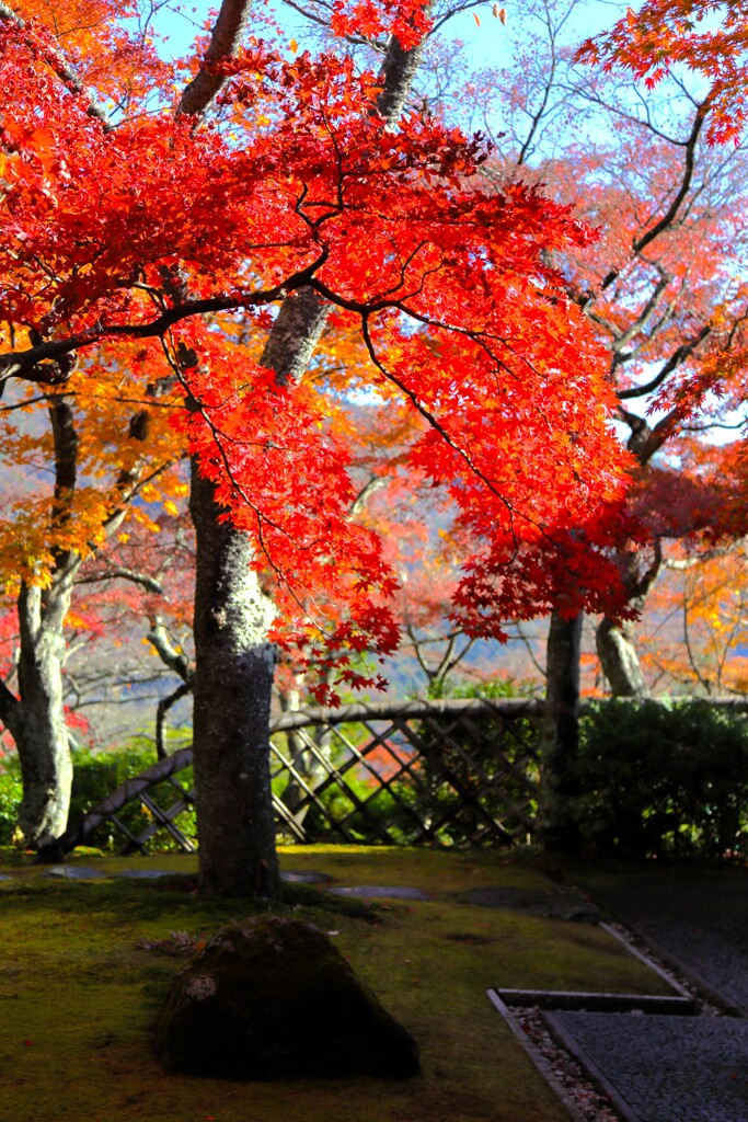 2025_箱根美術館4