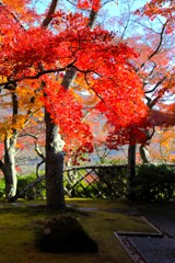 2025_箱根美術館4