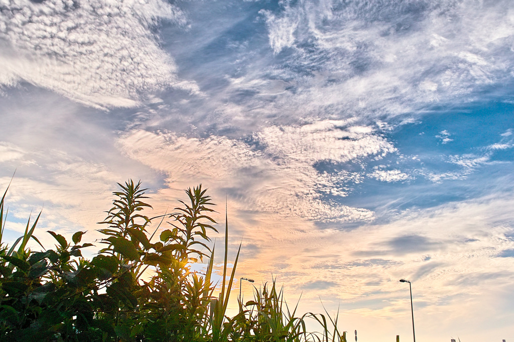 夏空