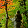 2018長安寺_秋