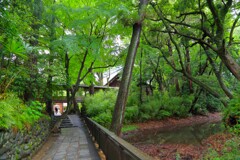 TEST_EF24mm-105  4L_3