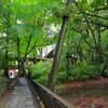 TEST_EF24mm-105  4L_3