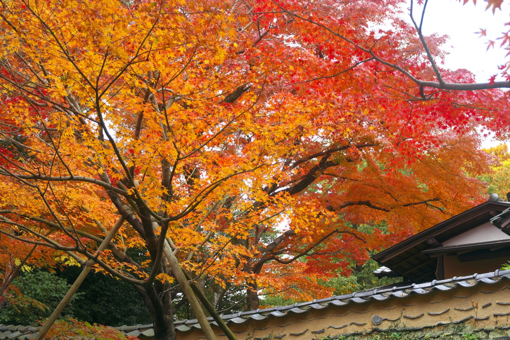 松永記念館