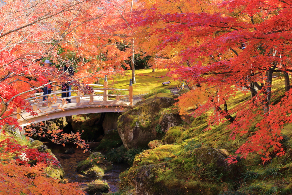 2025_強羅_箱根美術館10