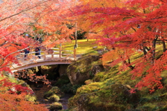 2025_強羅_箱根美術館10