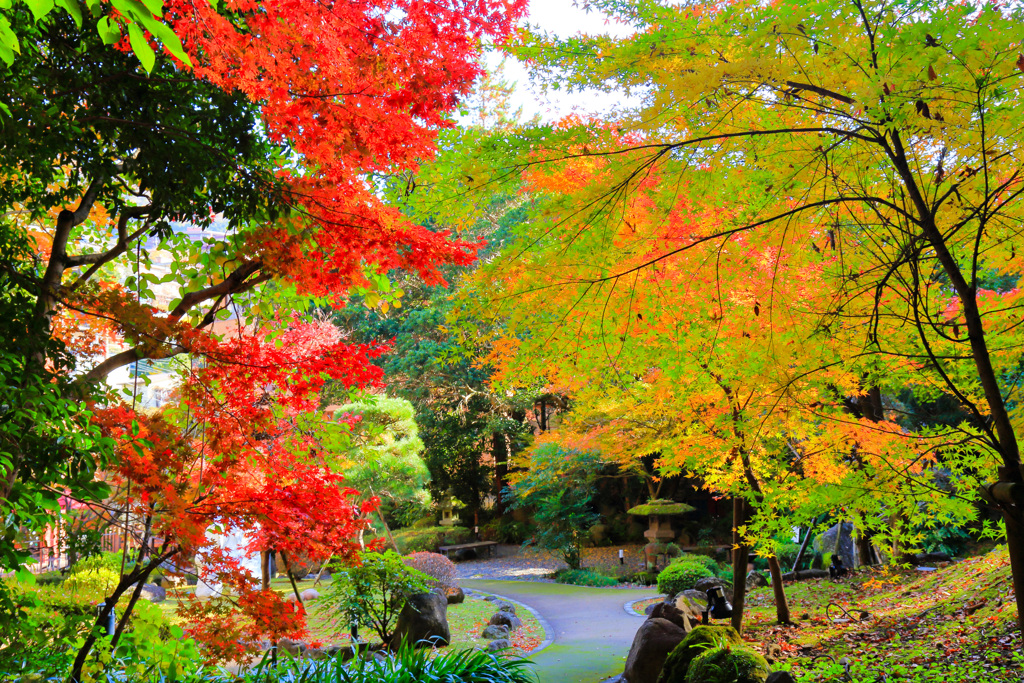2025_湯河原美術館2