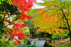 2025_湯河原美術館2