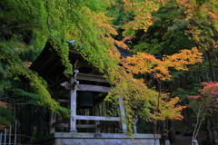 2025/11/12_箱根仙石原2_2