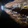 小田原城址