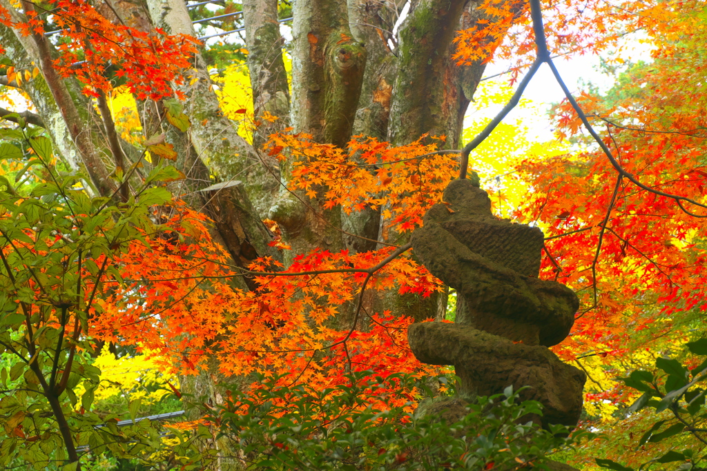 松永記念館