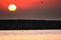 A sunrise