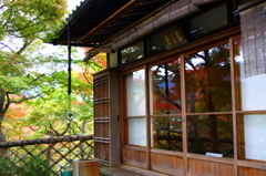 箱根強羅美術館20111109_6