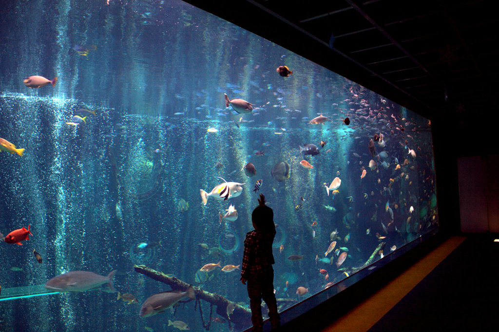 どれにしようかな？