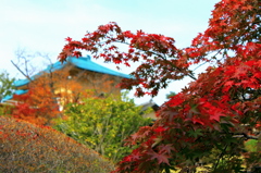 箱根強羅美術館20111109_5