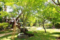 旧松本剛吉別邸_4