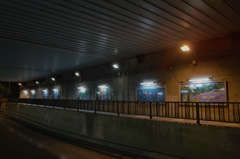 1-SDIM0583